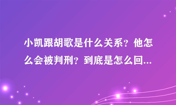 小凯跟胡歌是什么关系？他怎么会被判刑？到底是怎么回事？好像是胡歌出车祸后额事？