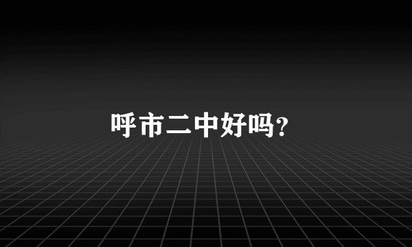 呼市二中好吗？