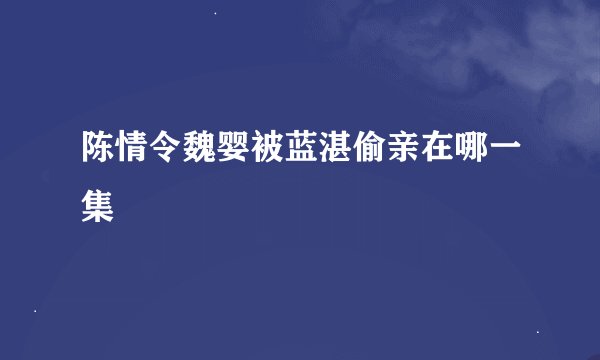 陈情令魏婴被蓝湛偷亲在哪一集