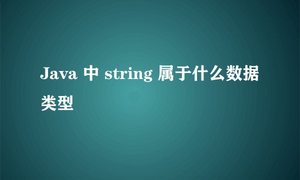 Java 中 string 属于什么数据类型