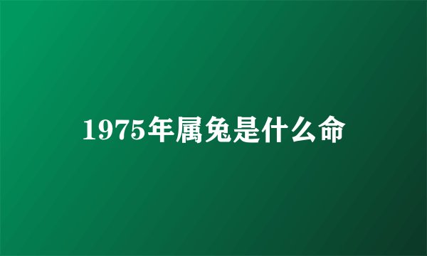 1975年属兔是什么命