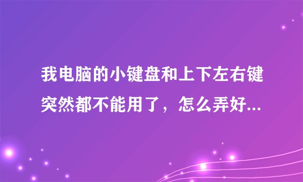我电脑的小键盘和上下左右键突然都不能用了，怎么弄好？？？？！！急！！！