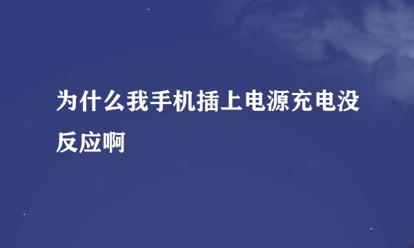 为什么我手机插上电源充电没反应啊