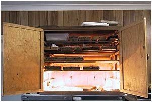 蝴蝶标本的制作过程