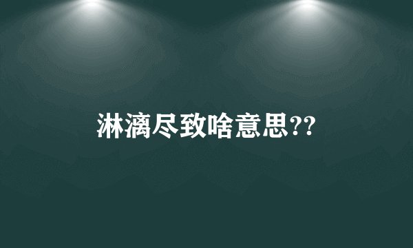 淋漓尽致啥意思??