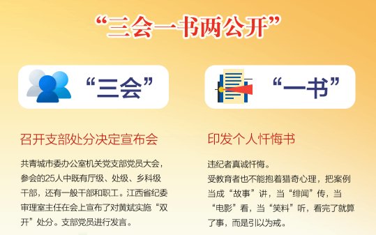 什么是“三会一书两公开