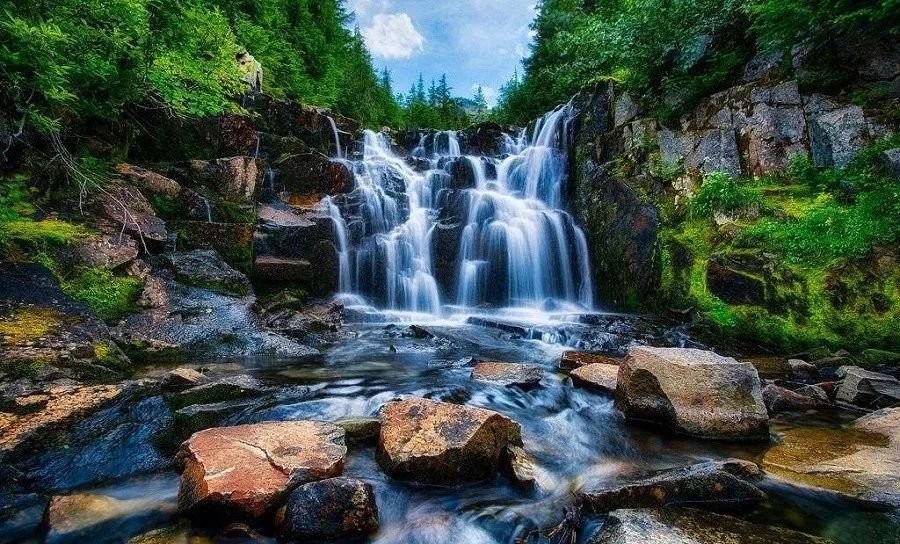 如何以客户为中心做好服务