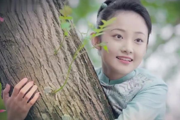 吴佳怡演的电视剧有哪些？