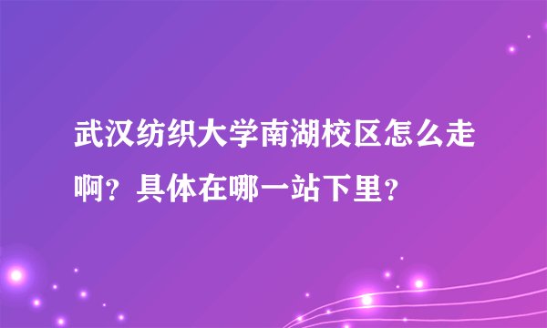 武汉纺织大学南湖校区怎么走啊？具体在哪一站下里？
