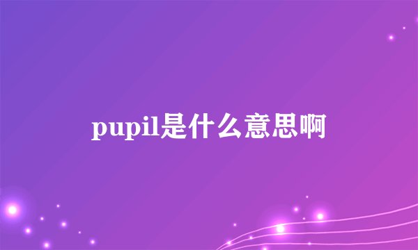 pupil是什么意思啊