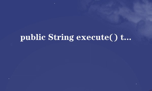 public String execute() throws Exception {}是什么意思啊