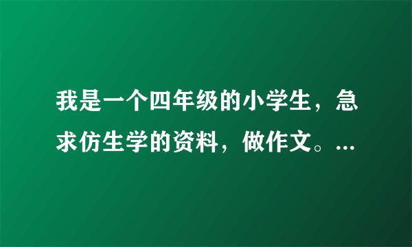 我是一个四年级的小学生，急求仿生学的资料，做作文。急求，急求。