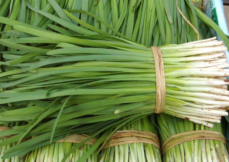 韭菜不能跟什么一起吃？