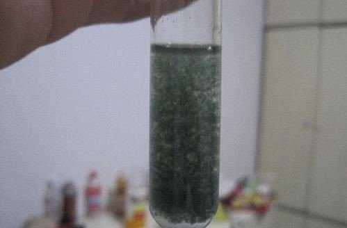 氢氧化铁和氢氧化亚铁有颜色区别吗