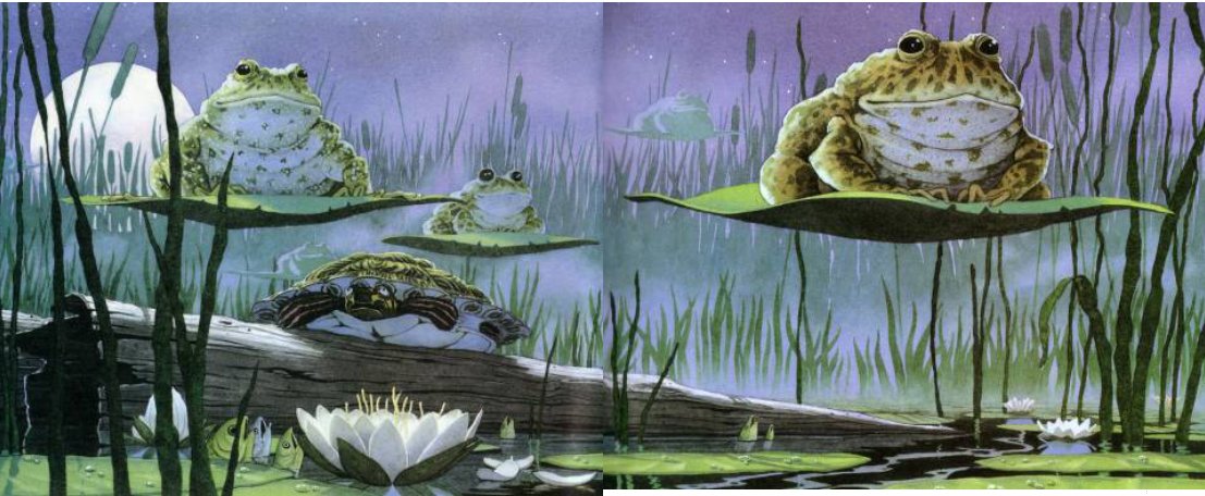 疯狂星期二绘本故事从头到尾全图