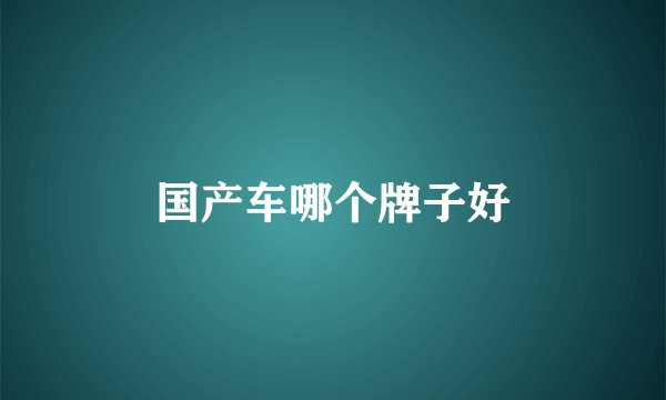 国产车哪个牌子好