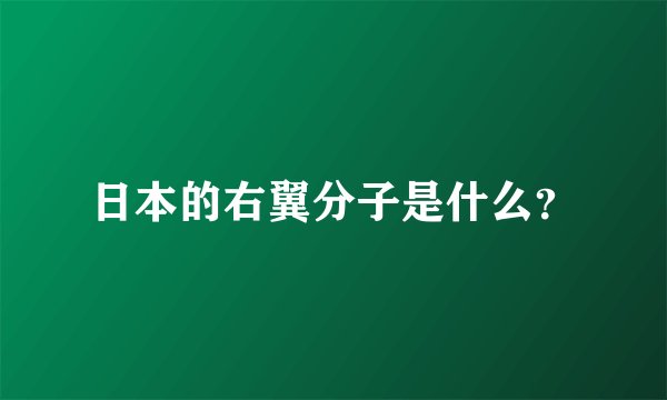 日本的右翼分子是什么？
