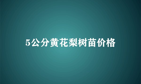 5公分黄花梨树苗价格