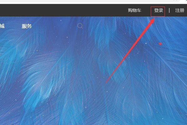 vivo手机账户密码找回