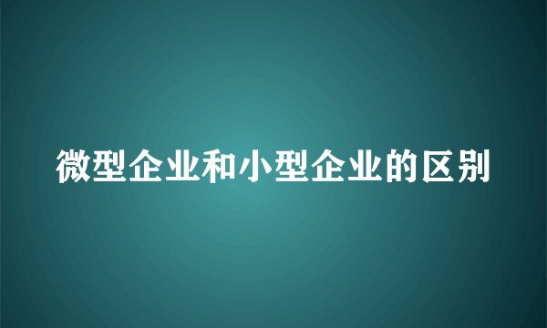 微型企业和小型企业的区别