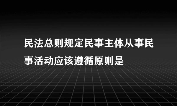 民法总则规定民事主体从事民事活动应该遵循原则是