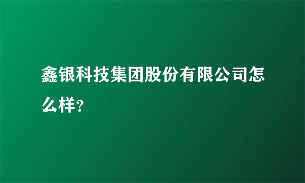 鑫银科技集团股份有限公司怎么样？