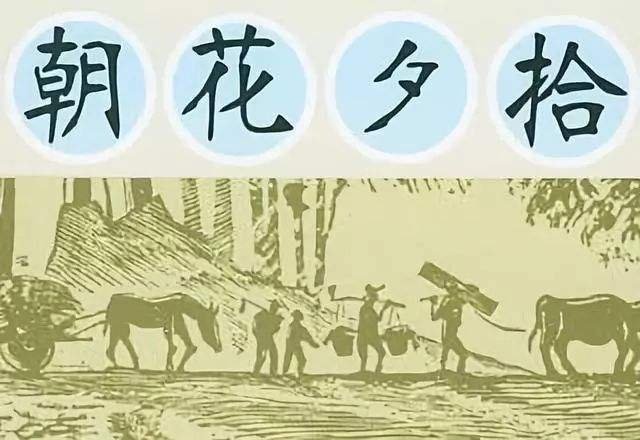 朝花夕拾主要人物(关系,列表),情景概括,精彩语句