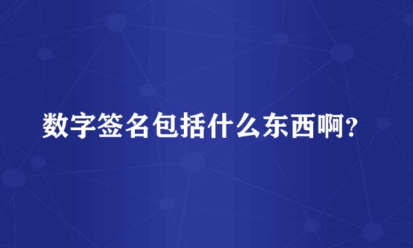 数字签名包括什么东西啊？