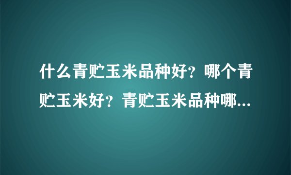 什么青贮玉米品种好？哪个青贮玉米好？青贮玉米品种哪个好？哪的青贮玉米好？