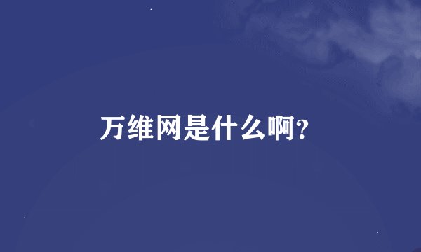 万维网是什么啊？