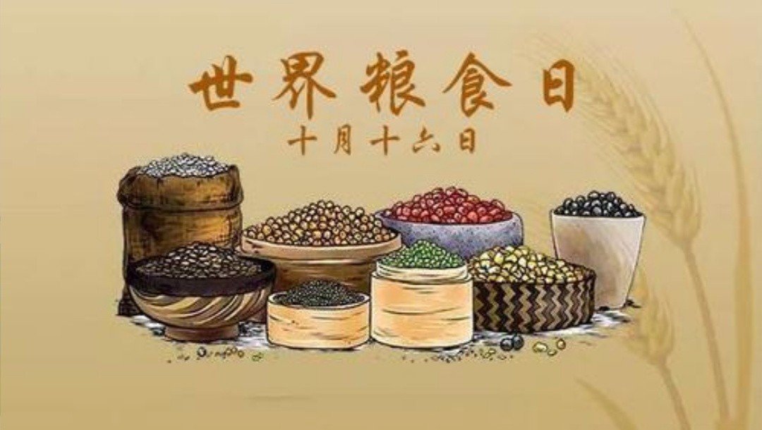 今年的世界粮食日的主题是什么??