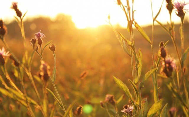 图片各种格式的区别？哪种清晰度最高？
