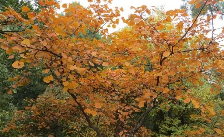 十月份适合去哪些地方旅游