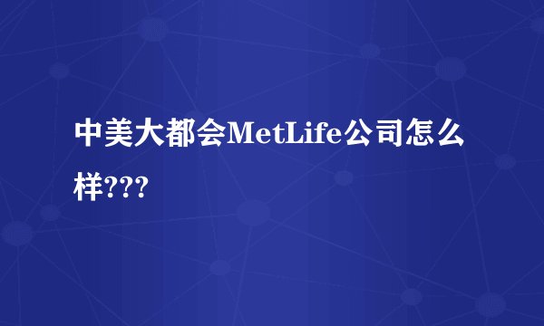 中美大都会MetLife公司怎么样???