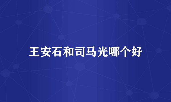 王安石和司马光哪个好