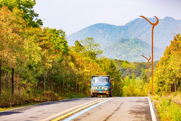 江西新余市的仙女湖景区内还有什么特色的景点呢？