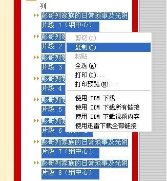 鲜网怎么下载小说？