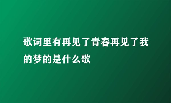 歌词里有再见了青春再见了我的梦的是什么歌