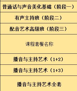 谁上过播音主持培训班，都讲些什么课程啊！！？？？