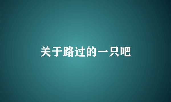 关于路过的一只吧