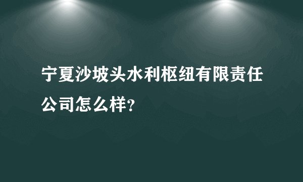 宁夏沙坡头水利枢纽有限责任公司怎么样？