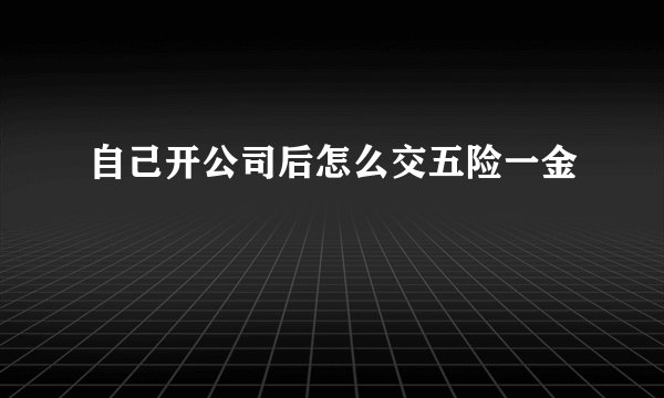 自己开公司后怎么交五险一金