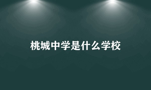桃城中学是什么学校