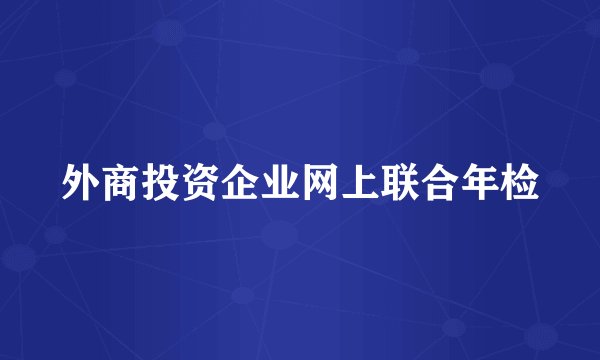 外商投资企业网上联合年检