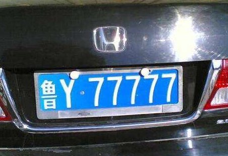 鲁Y是哪的车牌号？