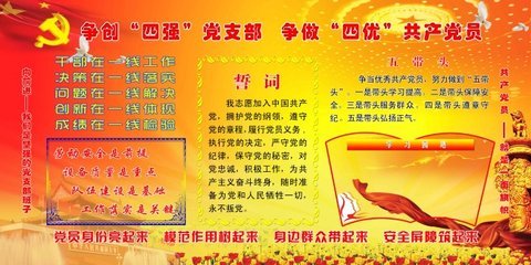 什么是四优党员