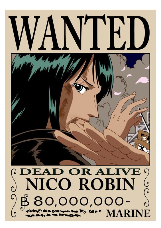 求海贼王通缉令图和罗宾丝袜图片