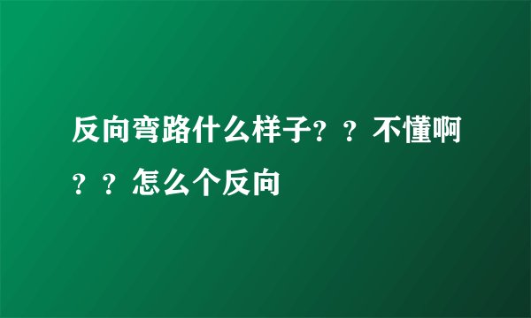 反向弯路什么样子？？不懂啊？？怎么个反向