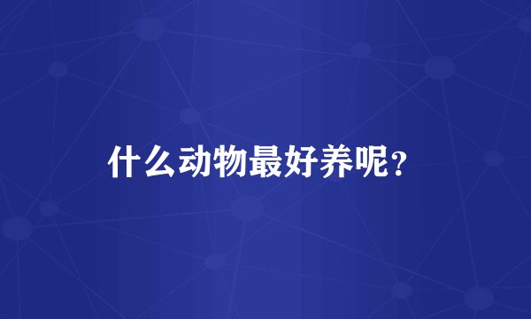 什么动物最好养呢？