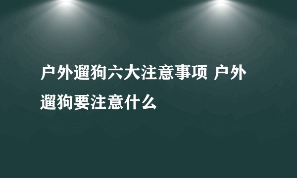 户外遛狗六大注意事项 户外遛狗要注意什么